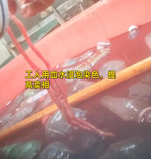 记者揭露食品厂脏乱行为,涉及电话泄露 背后关系曝光