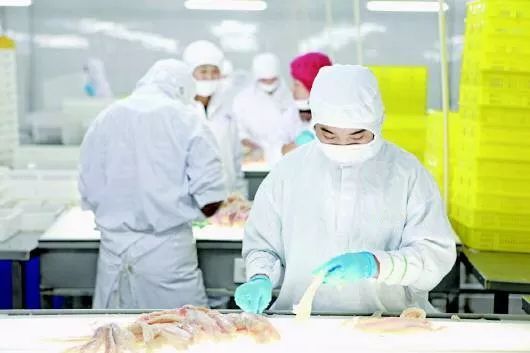 不得不知道的食品安全知识