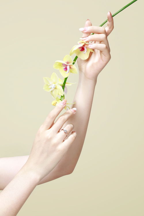 蝴蝶兰系列珠宝 自然与艺术的创意图拍摄指南