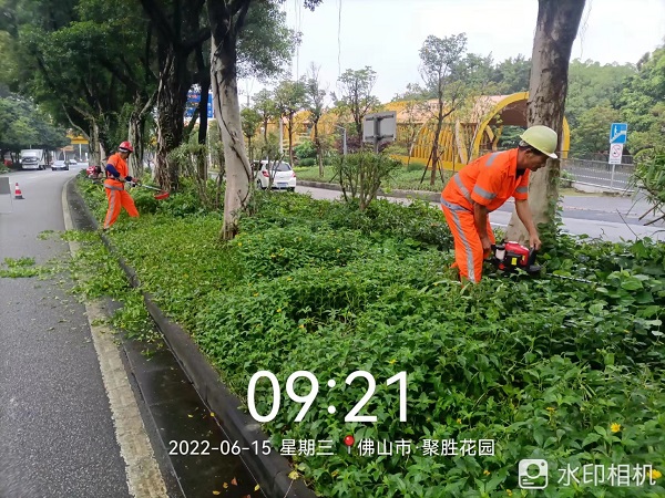 项目动态 | 打造美丽凤城,筑文明城市生态 项目动态 | 打造美丽凤城,筑文明城市生态