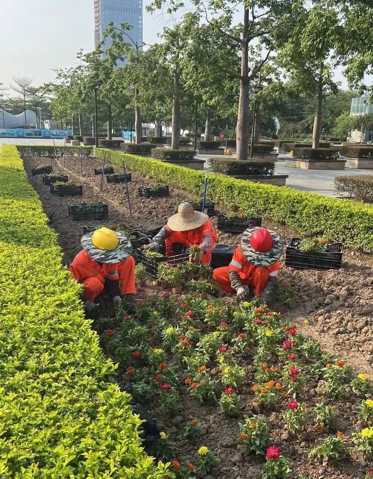 城市环卫绿化管养公司 城市环卫绿化管养公司