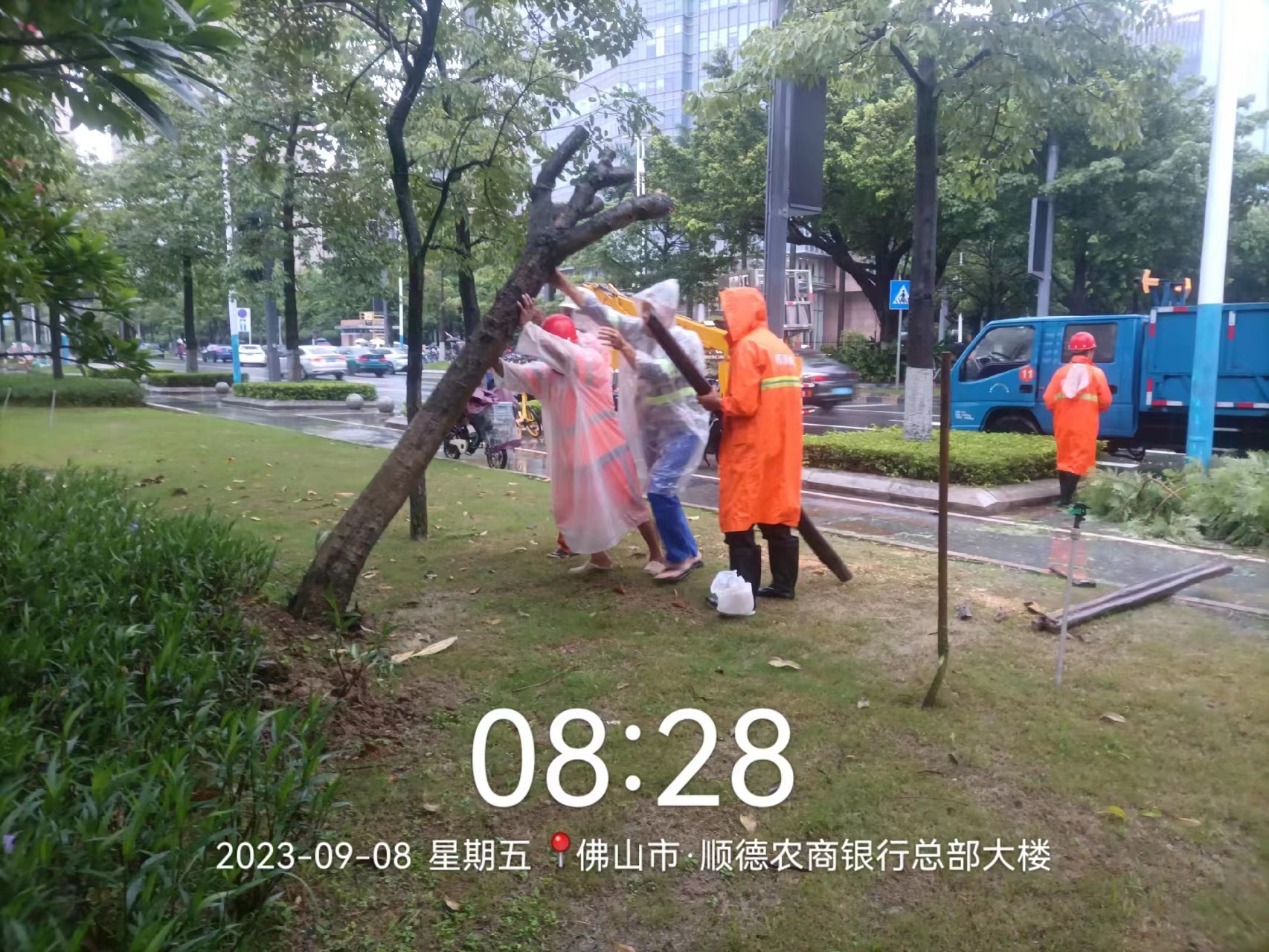 伟德app入口