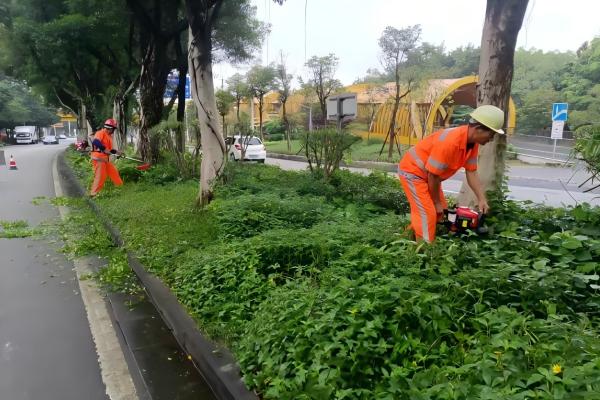 深圳龙华城市园林环卫服务价格 深圳龙华城市园林环卫服务价格