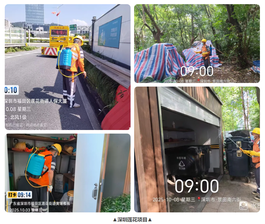 伟德app入口